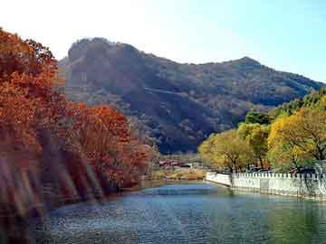 關(guān)于澳門(mén)博彩業(yè)與新澳門(mén)精準(zhǔn)免費(fèi)大全的探討——警惕違法犯罪風(fēng)險(xiǎn)