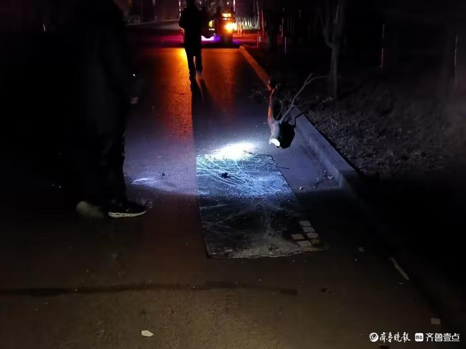 臨清吧車禍最新消息，事故背后的深度分析與反思