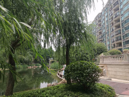 漢陽(yáng)恒大綠洲最新房?jī)r(jià)，市場(chǎng)走勢(shì)與購(gòu)房指南