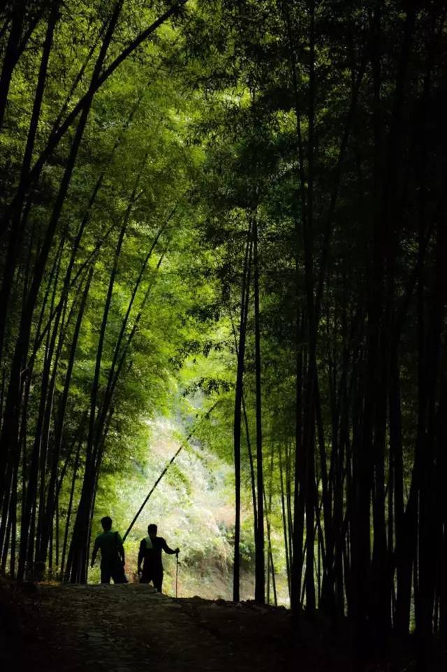 撫州仙峰最新消息，揭開神秘面紗下的壯麗景象