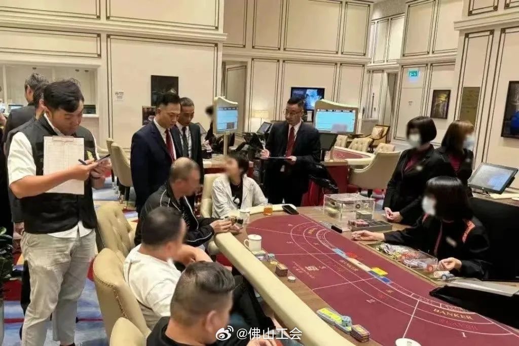 澳門特一肖一碼免費(fèi)提——揭示背后的風(fēng)險與犯罪問題