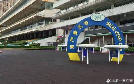 澳門今晚開特馬與開獎結(jié)果走勢圖，揭示背后的真相與風(fēng)險警示