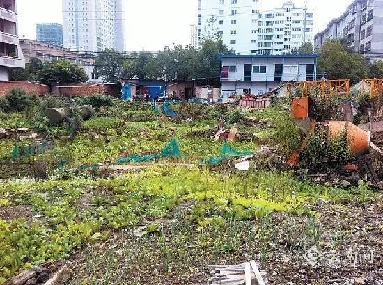 昆明沸城小區(qū)最新動(dòng)態(tài)，繁華都市中的新篇章