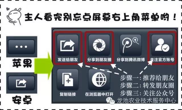 管家婆精準(zhǔn)資料免費(fèi)大全香港，深度解析與實(shí)用指南