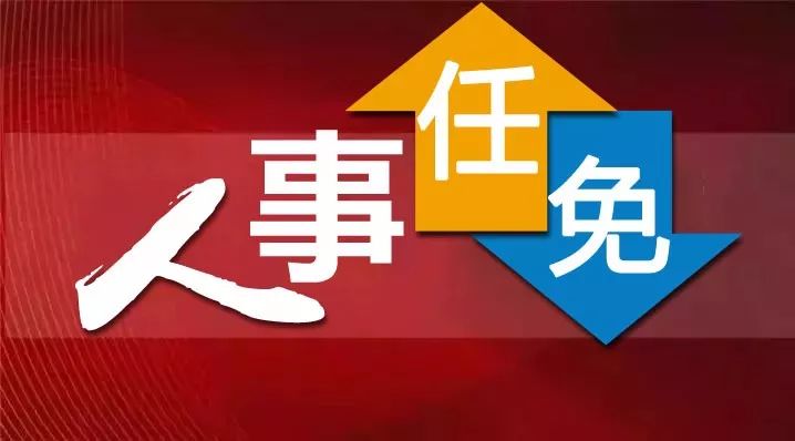 河北任免24名廳級(jí)干部，人事調(diào)整背后的深意與期待