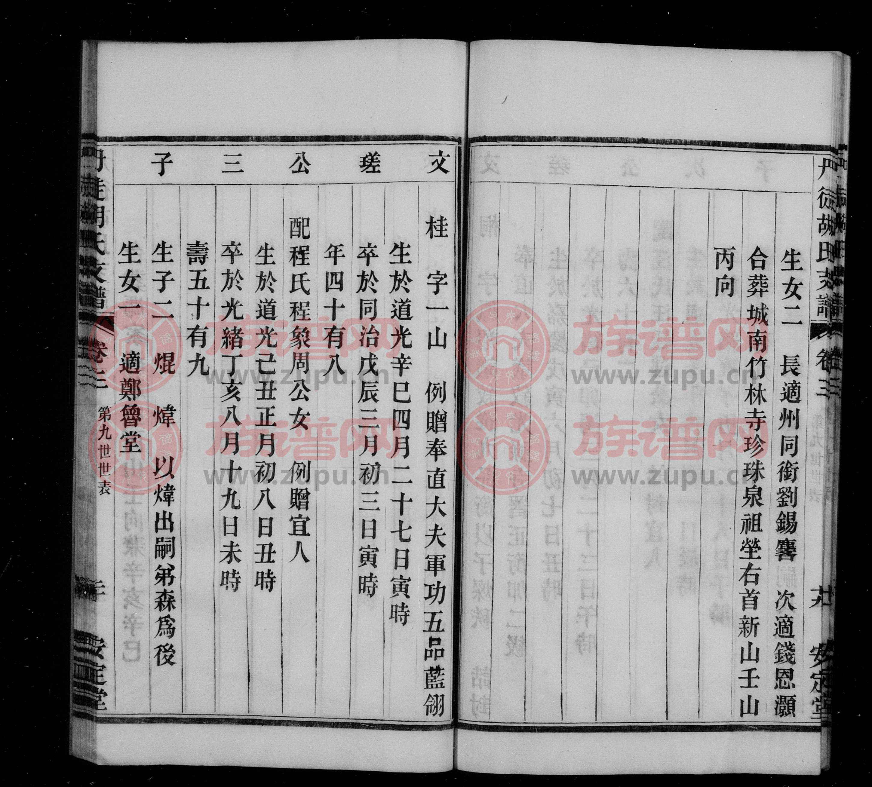 當(dāng)今舒氏最新家譜概覽