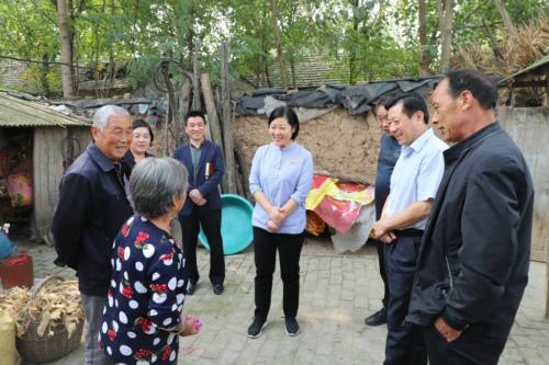 鄲城土地最新消息，發(fā)展動(dòng)態(tài)與未來(lái)展望