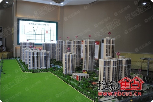 岳陽中天維益最新價格概覽