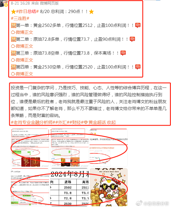 澳門管家婆，揭秘精準(zhǔn)預(yù)測(cè)背后的秘密