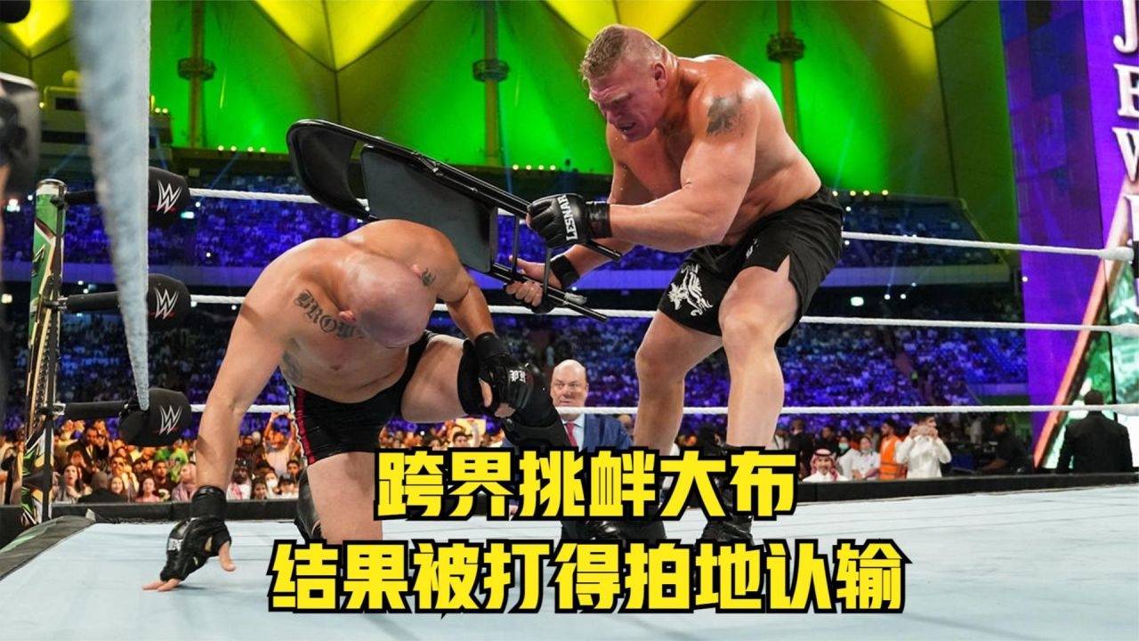 澳彩資料免費(fèi)的資料大全WWE，警惕背后的風(fēng)險(xiǎn)與違法犯罪問題