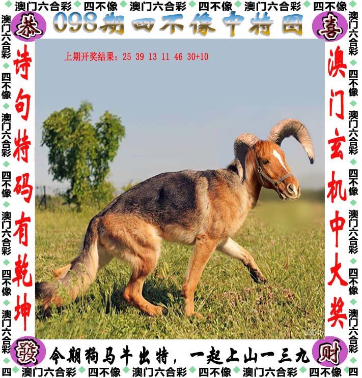 四不像正版資料2024年，深度解讀與預(yù)測(cè)分析